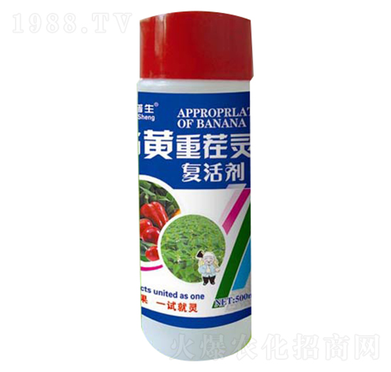 ���S�ز��`��(f��)�-��������