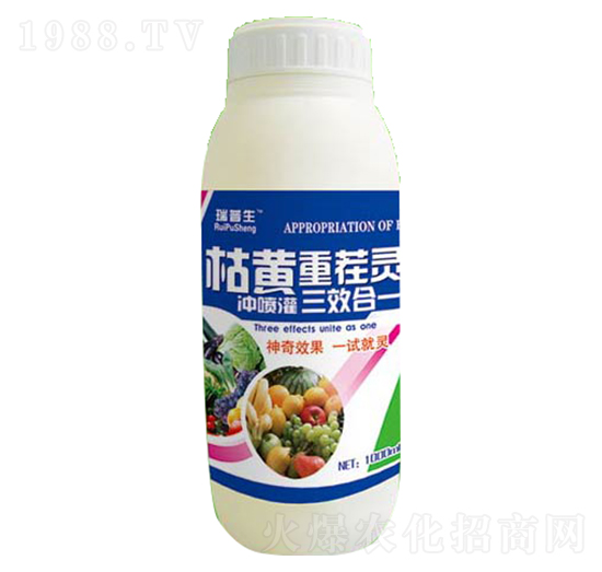 ���S�ز��`-��������