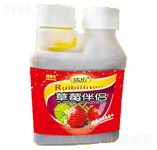 ��ݮ��H-��������