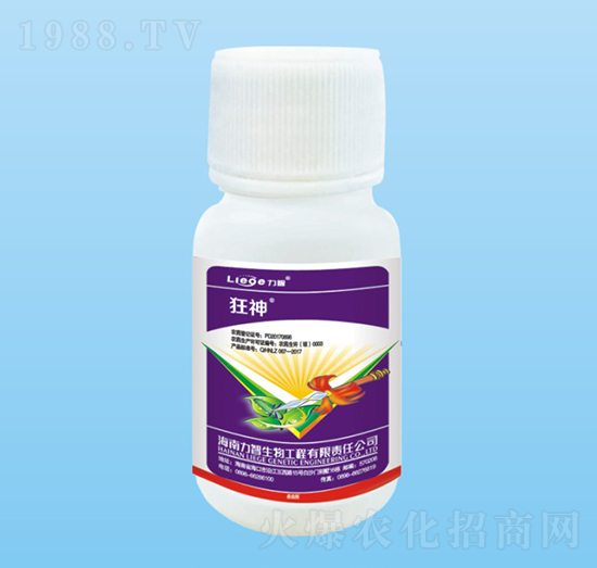 ��������-��������