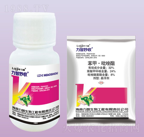 �������՚�����-��������