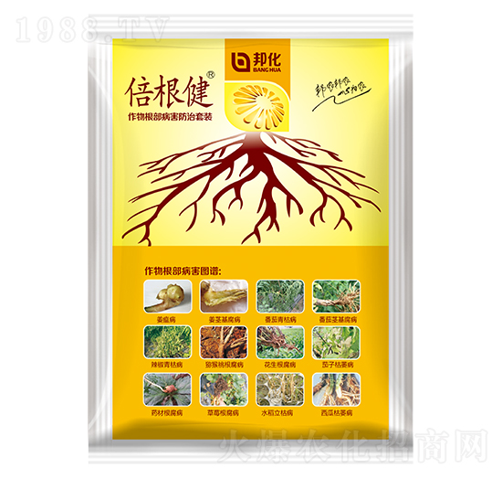 �������������Q����-������