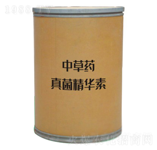 ������A��-����2̖-���˰ٲ�