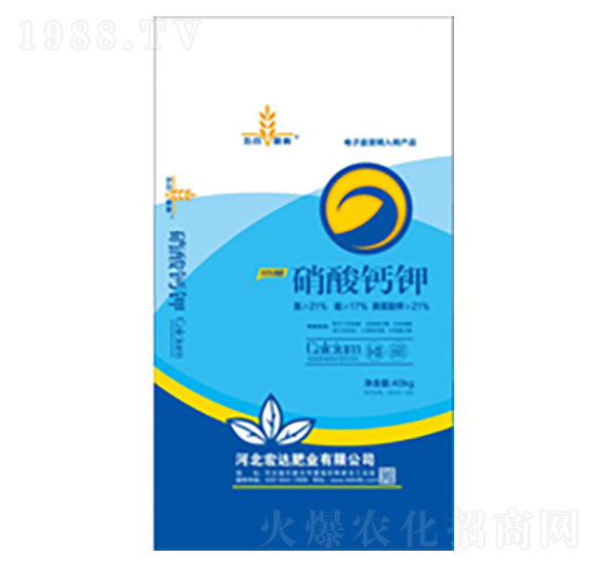 �����}�-���_(d��)�ʘI(y��)