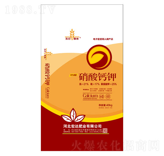 40kg�����}�-���_(d��)�ʘI(y��)