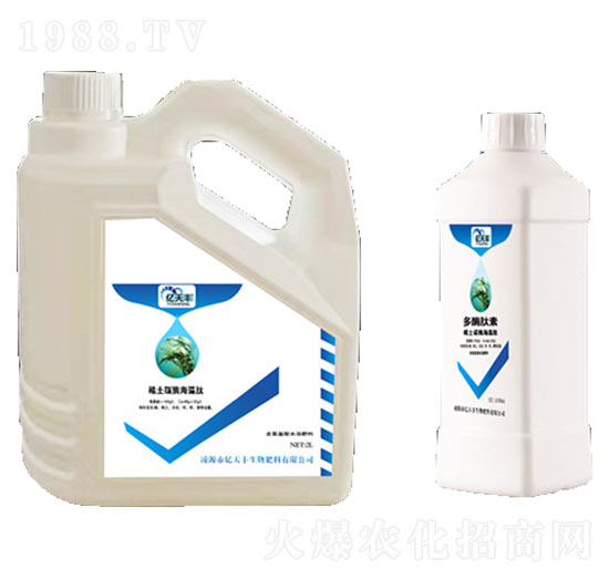 ϡ��̼ø������-�|���S