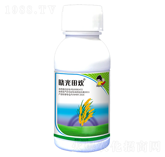 35%���ݰ�-�Թ���g-ӯ�x