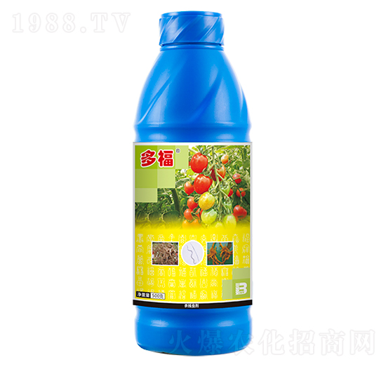 10%������w����-�ร-ӯ�x