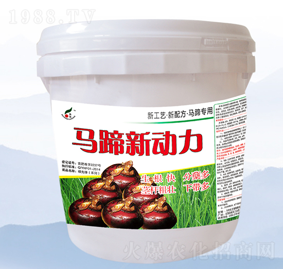 �R������-���S