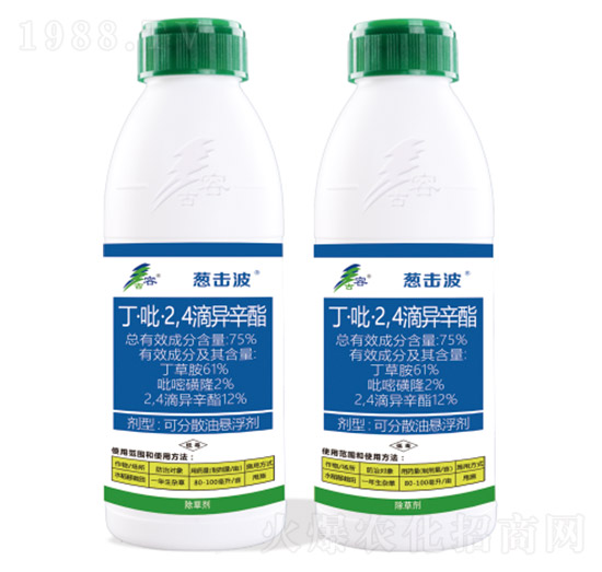 75%��������2��4���ή���֬-�[����-����