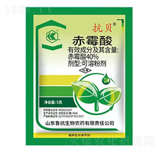 40%��ù����ܷۄ�-��ؐ-��������