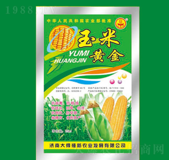 �����S�𣨴��b��-�����