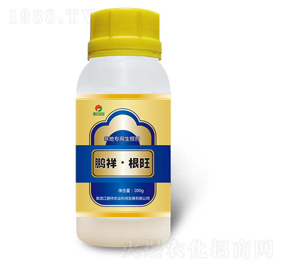 ���،�(zhu��n)��������-�i�顤����-�i���r(n��ng)�I(y��)