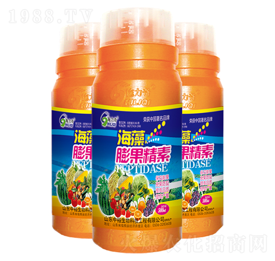 �����������-ʩ����-ԣ��߿�