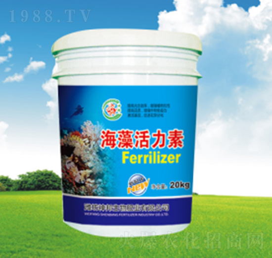 ��������؛_ʩ��-�������