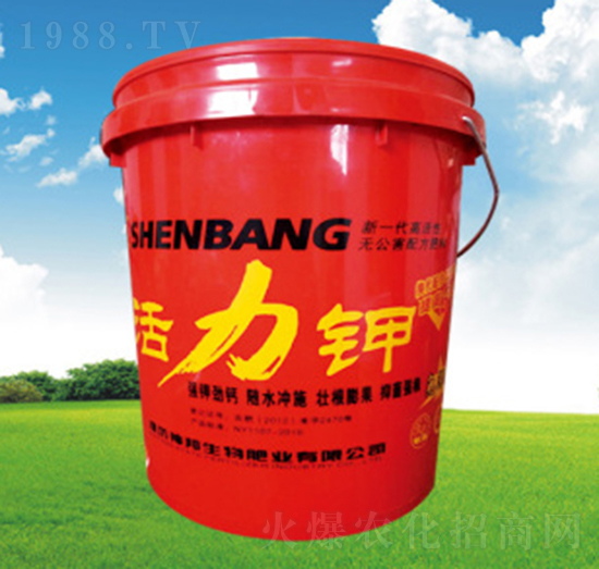 �����-�������