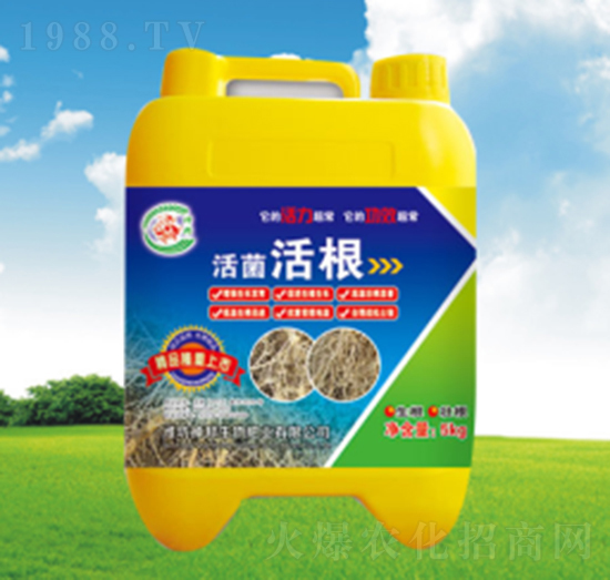 ������Ͱ��-�������