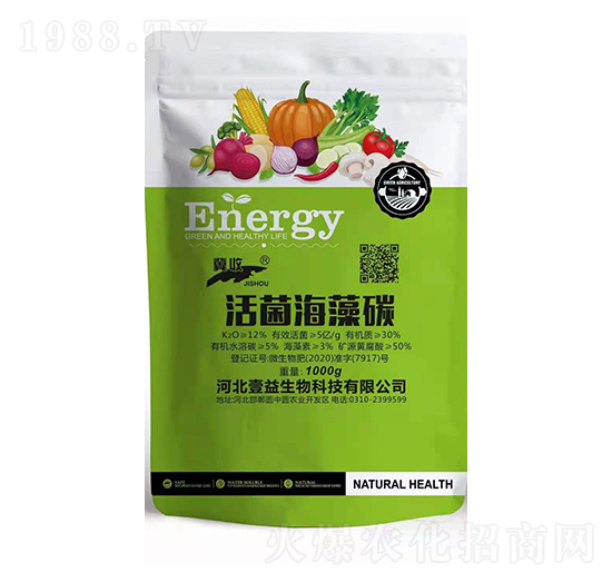 �������̼-����-Ҽ������