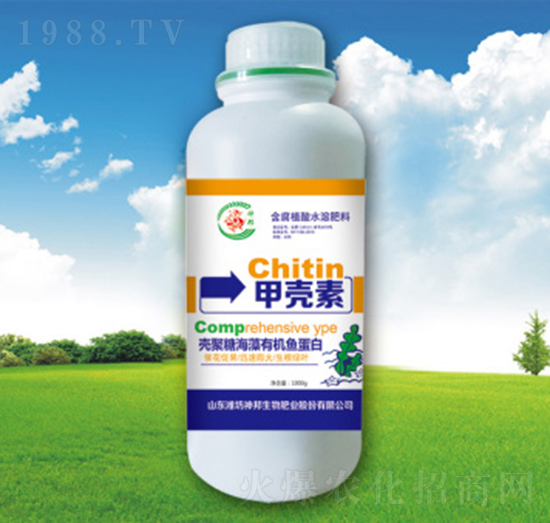 �ך����~���-�������