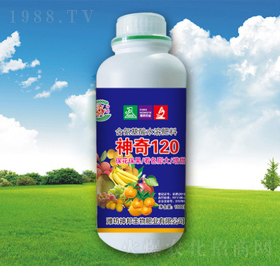 ����210-�������