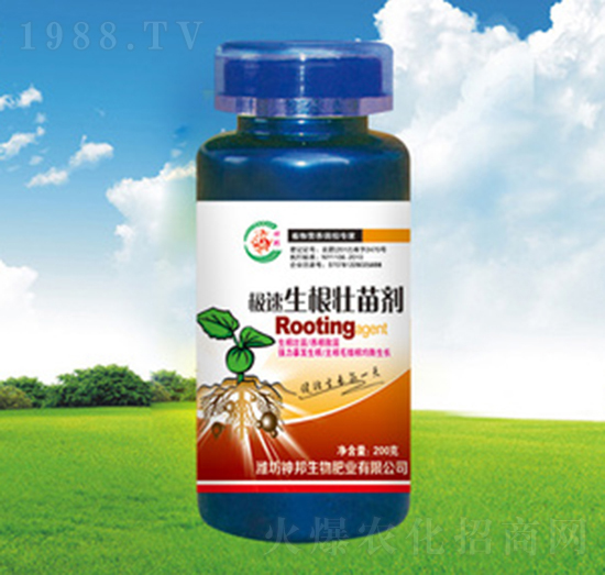 ���������~���-�������