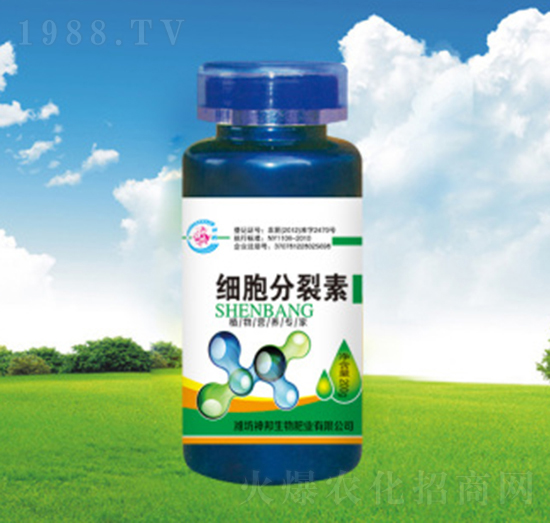 ����������-�������