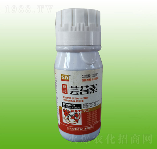 �|̦��-����-�f���_(d��)