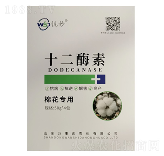 ʮ��ø�أ��޻����ã�-����-�f���_(d��)