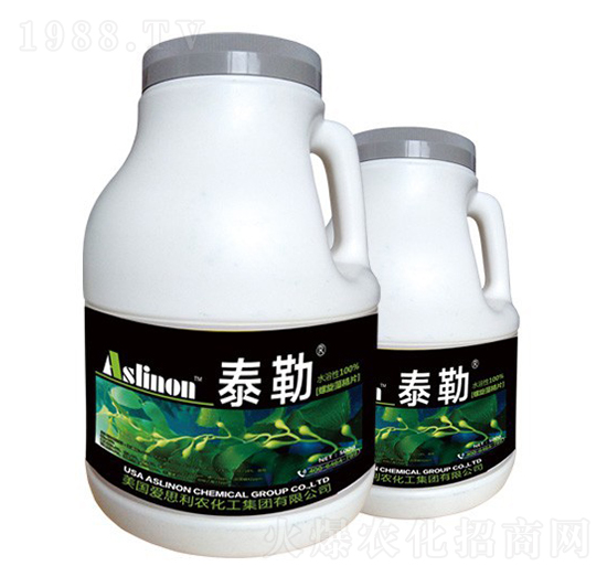 ̩�ա������徧Ƭ-�A�����r