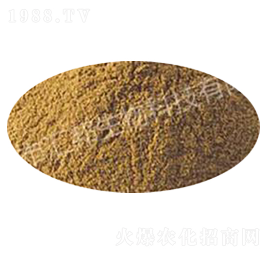 ����ѿ�ߗU��-�R������