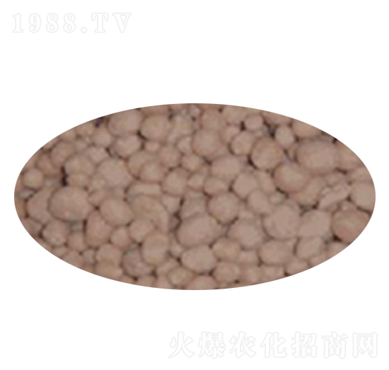 40%�ͺϷ�-����