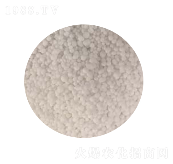 ����-������