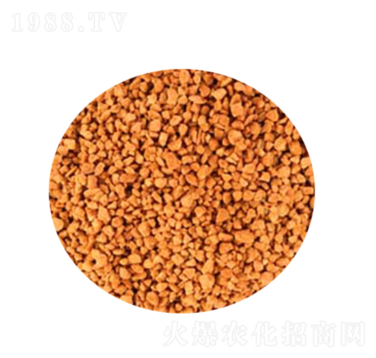 �Ȼ��-������