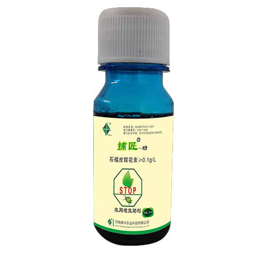 ����-��-�v�S�r�I(y��)