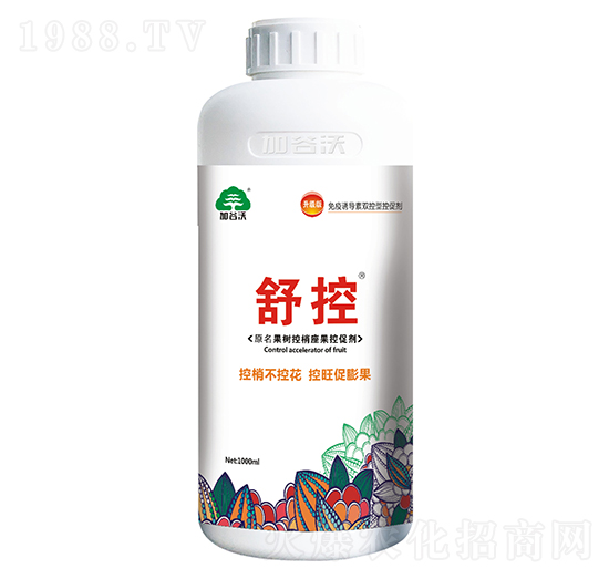 ������������شل�-���-�ӹ���