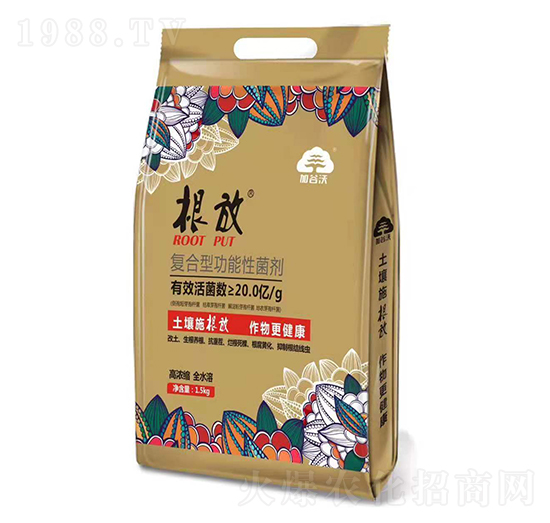 ��(f��)���͹����Ծ���-����-�ӹ���