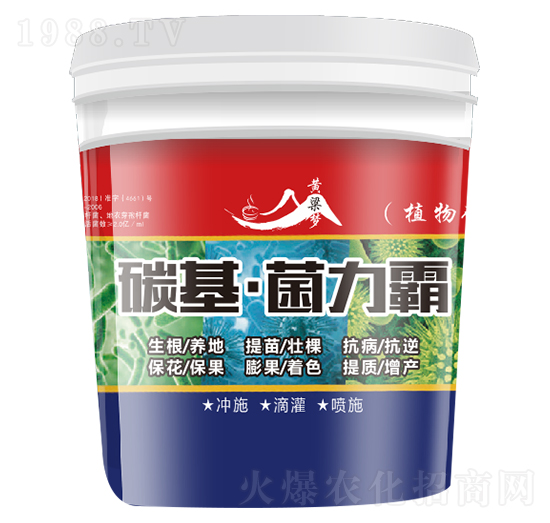 ̼����������-�S����-��w�r(n��ng)