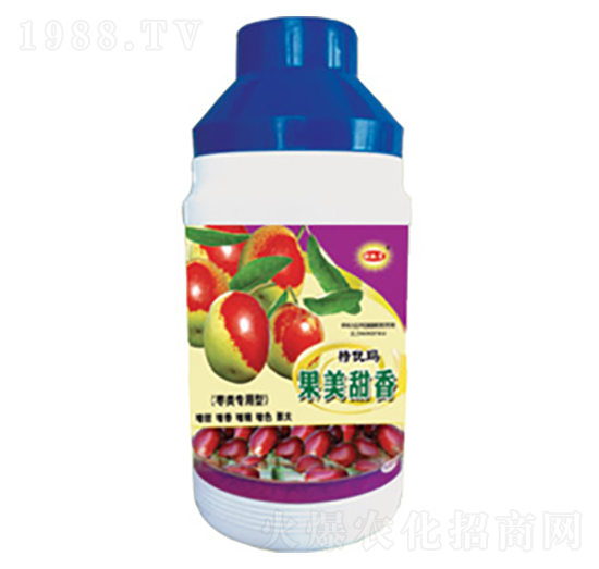 �������㣨���(l��i)��(zhu��n)�ã�-������