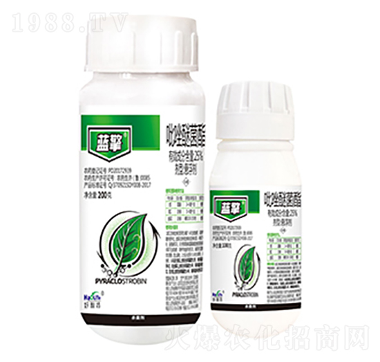 25%�����Ѿ���-�{��-����������