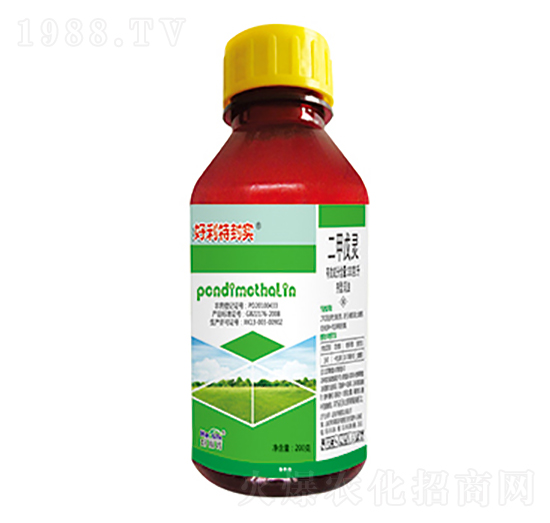 330��ÿ���������`-�����ط⌍-����������