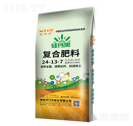 ���}���ͺϷ���24-12-7-�����_-�_�T��