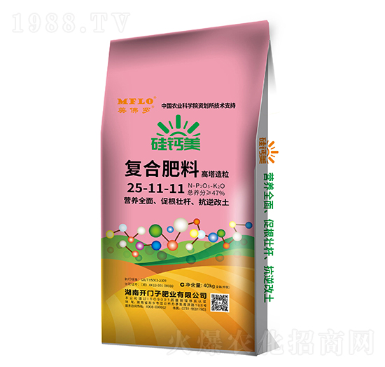 ���}���ͺϷ���25-11-11-�����_-�_�T��