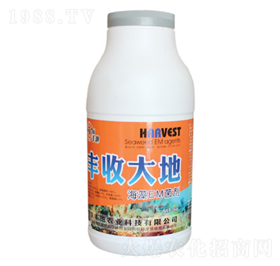 ����EM����-�S�մ��-�S���r(n��ng)�I(y��)