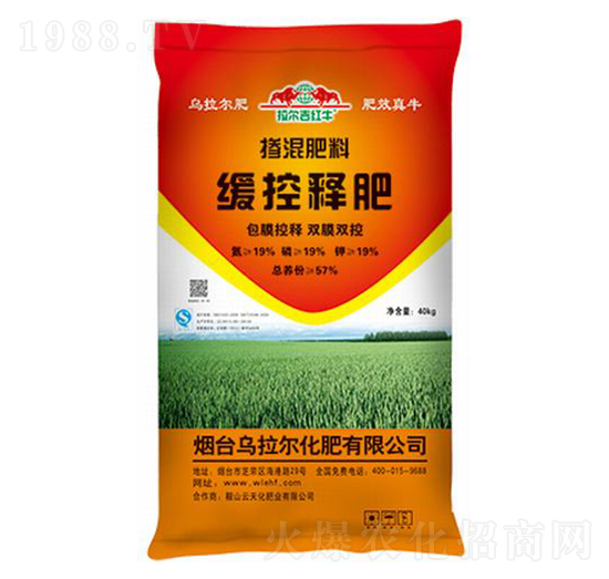 ����ጓ������-������