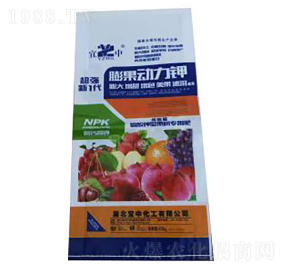 ������͏ͺϷ�-��������-���л���