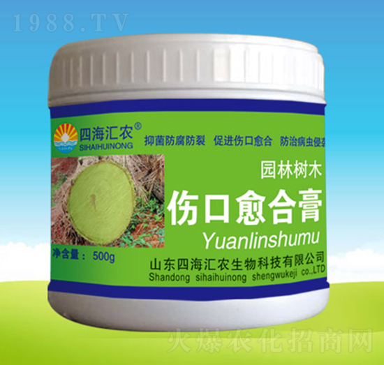 �������ϸ�-�ĺ��R�r(n��ng)