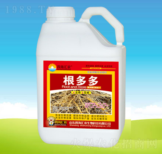 �����-�ĺ��R�r(n��ng)