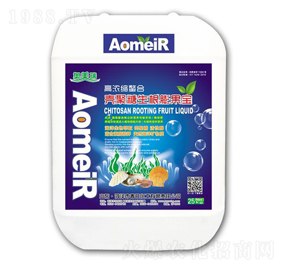 ���������������-�W����-��������