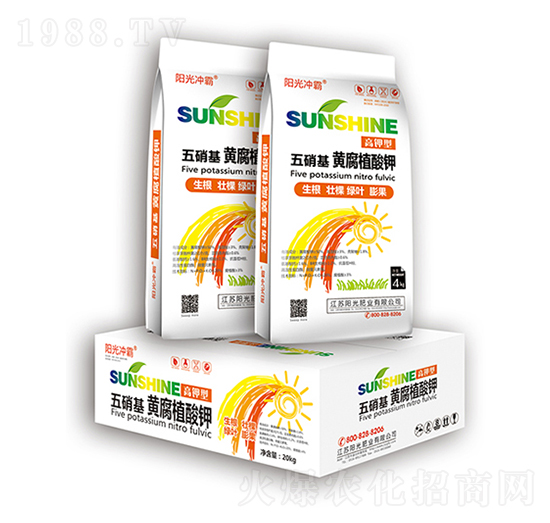 ���������S��ֲ���-ꖹ�ʘI(y��)