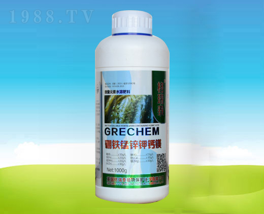 1000g���F�i�\��}�V-�ĺ��R�r